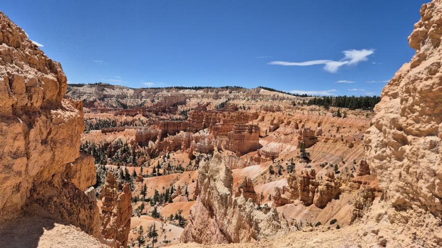 קניון ברייס